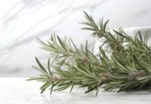 Buccia di limone, basilico e rosmarino: perché farli bollire e le proprietà ‘segrete’