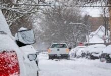 Camionista ignora segnali, segue Gps e rimane bloccato nella neve: niente cenone di Natale