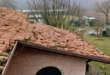 Sostituito il manto di copertura del canile di Gogna a Vicenza: approvato il progetto da 75 mila euro Canile comunale di Gogna a Vicenza