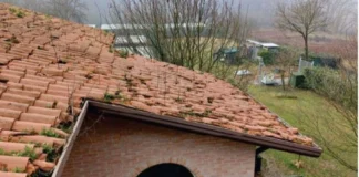 Sostituito il manto di copertura del canile di Gogna a Vicenza: approvato il progetto da 75 mila euro Canile comunale di Gogna a Vicenza