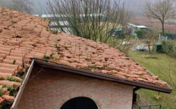 Sostituito il manto di copertura del canile di Gogna a Vicenza: approvato il progetto da 75 mila euro Canile comunale di Gogna a Vicenza