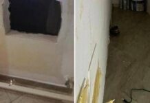 Ciro Andolfi arrestato dopo 3 anni di fuga, il latitante si nascondeva dietro un termosifone