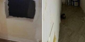 Ciro Andolfi arrestato dopo 3 anni di fuga, il latitante si nascondeva dietro un termosifone