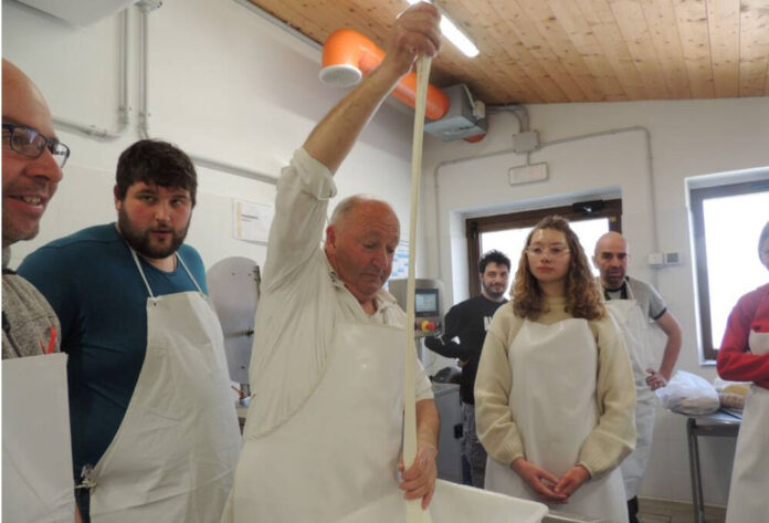 Istituto Rigoni Stern