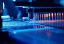 Demenza frontotemporale Grn mutata, Besta Milano in studio su terapia genica