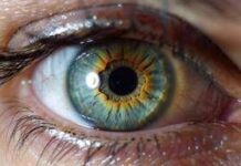 Farmaci, aflibercept 8 mg: nuovi dati confermano efficacia e sostenibilità in maculopatie