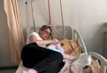 Federica Pellegrini in ospedale con la figlia: “Ha avuto convulsioni febbrili”