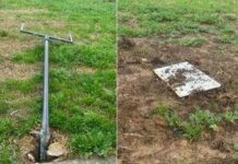 Foibe, Comitato 10 Febbraio: “A Firenze distrutta la targa dedicata a Norma Cossetto”