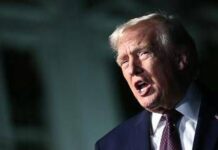 Groenlandia, Trump nomina inviato speciale. Danimarca: “Inaccettabile”