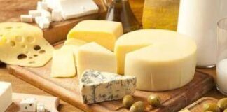 Il formaggio fa diminuire il rischio di demenza? Lo studio svedese durato 25 anni