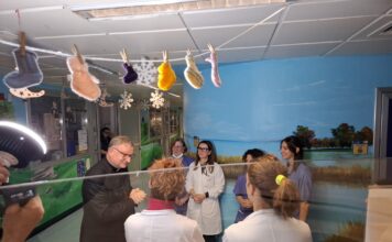 Il messaggio di Natale del vescovo Brugnotto: «Da questa maternità nasce la speranza che non delude» Il messaggio di Natale del vescovo di Vicenza Giuliano Brugnotto nel reparto di Terapia Intensiva Neonatale (T.I.N.) dell'Ospedale San Bortolo di Vicenza