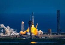 Il segreto per i viaggi nello spazio? I funghi di Chernobyl: la scoperta