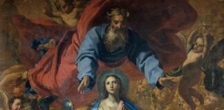 L’Immacolata Concezione di Maria. Libertà che si dona Immacolata Concezione di Maria