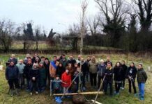 KilometroVerdeParma celebre traguardo storico, piantato 100.000esimo albero