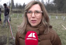 KilometroVerdeParma, piantato il 100.000° albero