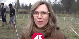 KilometroVerdeParma, piantato il 100.000° albero