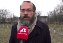 KilometroVerdeParma, più alberi diffusi in città per combattere caldo e cemento