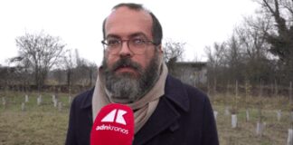 KilometroVerdeParma, più alberi diffusi in città per combattere caldo e cemento