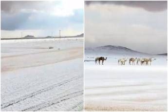 L’Arabia Saudita ‘riscopre’ la neve, primi fiocchi dopo 30 anni