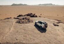 La Defender traccia il futuro della Dakar, chilometro dopo chilometro