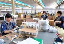 Lavoro, Istat: “In terzo trimestre cala disoccupazione al 6,1% ma tasso inattività sale al 33,3%”