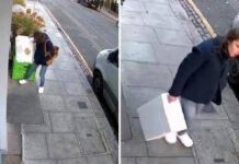 Londra, mistero della ‘ladra di langoustine’: rubati crostacei, manzo e orchidee rare