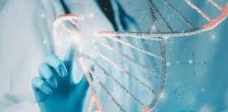 Malattie rare, dal Lazio un modello per continuità cure dall’età pediatrica all’età adulta