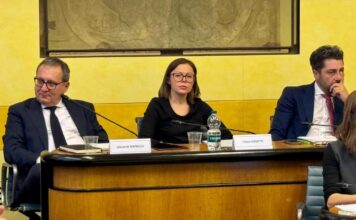 Luisetto (PD): “Bene l’impegno del Presidente Alberto Stefani sui caregiver: ora si trasformi in legge” luisetto caregiver