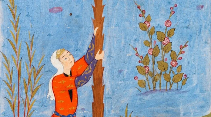 Il dialogo di Maria: per l’Immacolata Concezione di Maria gli auguri ai cristiani di Yahya Pallavicini, imam della moschea al-Wahid di Milano Maryam, cioè Maria, alla palma con il piccolo Isa (cioè Gesù) per l'Islam