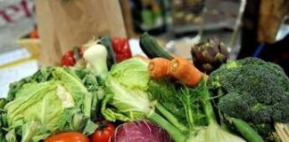 Microbioma alleato contro il mieloma: “Dieta ricca di fibre può frenarlo”
