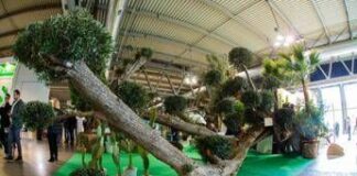 Myplant&Garden, X edizione dal 18 al 20 febbraio 2026 a Fiera Milano Rho