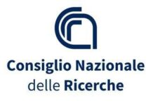 Nanomotion sensing: la nuova frontiera nella lotta allo Staphylococcus aureus