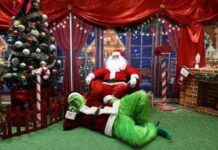 Natale 2025, sale l’effetto Grinch e cala la magia delle feste