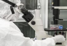 Nuovi virus creati con l’intelligenza artificiale: “E’ una svolta per produrre farmaci e terapie”