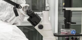 Nuovi virus creati con l’intelligenza artificiale: “E’ una svolta per produrre farmaci e terapie”