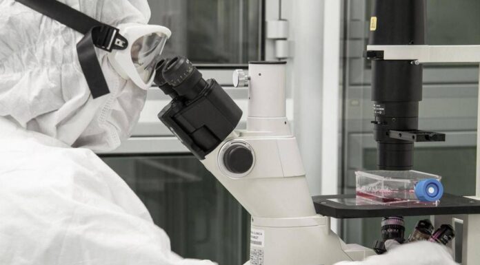 Nuovi virus creati con l’intelligenza artificiale: “E’ una svolta per produrre farmaci e terapie”