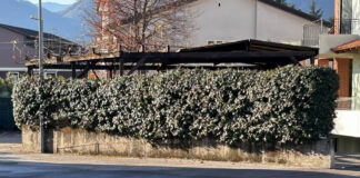 Tre chilometri di marciapiedi più accessibili e sicuri: così Schio abbatte le barriere schio marciapiedi