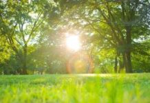 Poche nubi e niente neve, sarà ancora caldo anomalo: le previsioni meteo