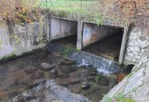 Schio, al via i lavori per la messa in sicurezza: pulizia urgente del torrente Valle Caussa Boldoro per prevenire allagamenti Schio Valle Caussa Boldoro