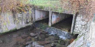 Schio, al via i lavori per la messa in sicurezza: pulizia urgente del torrente Valle Caussa Boldoro per prevenire allagamenti Schio Valle Caussa Boldoro