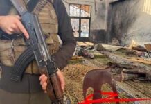 Siria, attacco a moschea di Homs: almeno 8 morti