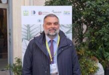 Tabacco, De Carlo (FdI): “Fronte comune sulla Pac in Parlamento a sostegno agricoltori”