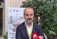 Tabacco, Masiello (Unitab Europa): “Filiera italiana modello vincente da tutelare”