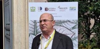 Tabacco, Trippella (Filiera tabacchicola italiana): “Rischio di arretrare con politiche europee”
