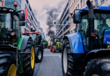 I 26 anni del trattato UE–Mercosur. Dal Brasile Giuseppe Arnò (ASIB): festeggiati senza firma, tra trattori in marcia e leader in retromarcia Trattori contro l'accordo UE - Mercosur a Bruxelles