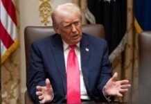 Trump-Musk, affondo Usa e Ue risponde: “Sulle nostre regole decidiamo noi”