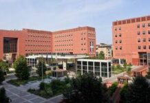 Università, Milano-Bicocca assume: 15 posti aperti tra risorse umane, ricerca e infrastrutture