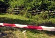 Venezia, cadavere in un campo con colpo d’arma da fuoco alla testa