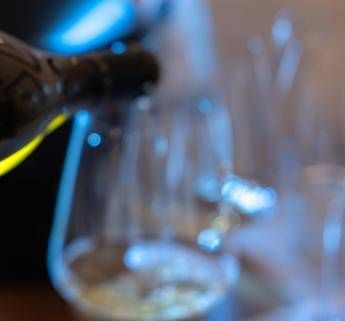 Vino tra piacere e rischi, l’immunologo: “Serve disciplina, massimo 1-2 bicchieri al giorno”