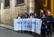 Progetto Silva a Montecchio Precalcino, la Conferenza dei Servizi in Provincia rimanda la decisione progetto Silva